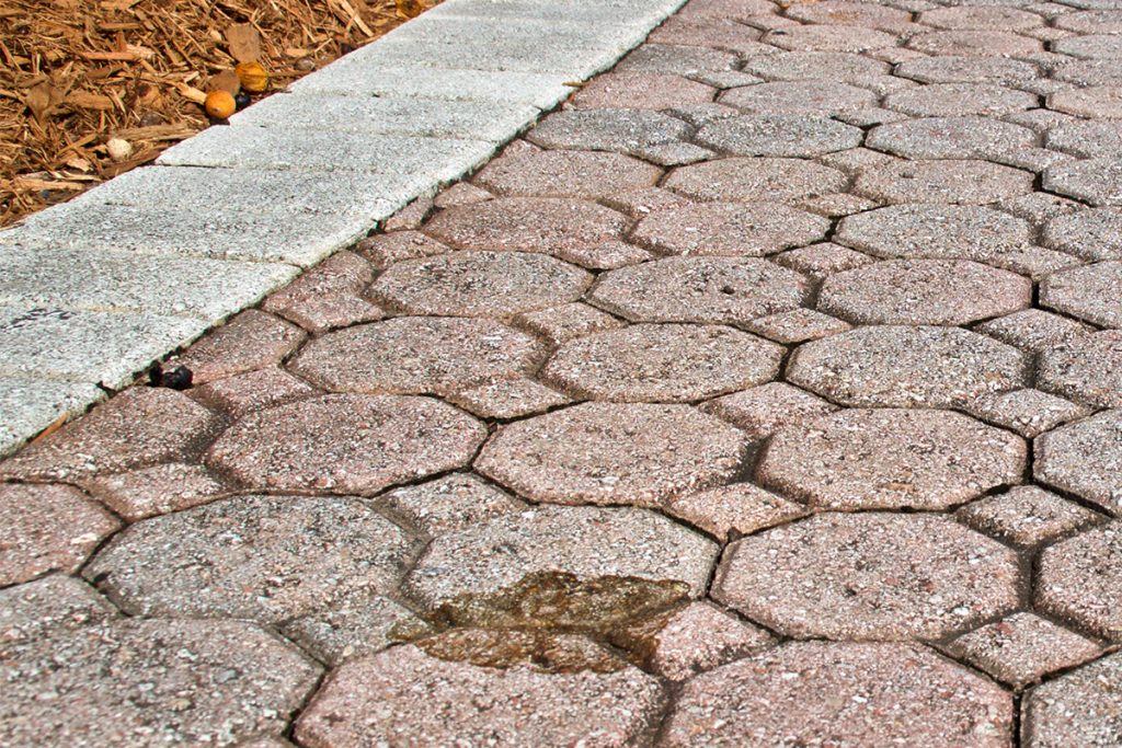 stained concrete, leaf stains concrete, concrete cleaning, Bravo Buffalo, concrete maintenance